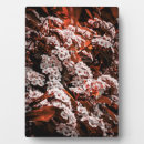 Suche nach mit blumen fotoplatten Rahmen