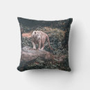 Recherche de pierre grise coussins Nature