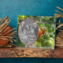 Recherche de tomate plaques Légumes