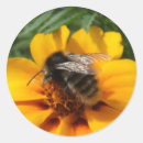 Suche nach hummeln aufkleber Blume