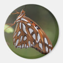 Suche nach weißer schmetterling magnete Orange