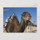 Suche nach nordafrika poster Farbe