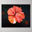 Recherche de peinture tropicale posters Hibiscus
