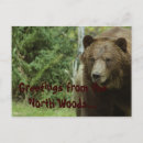 Suche nach grizzlybären postkarten Reise