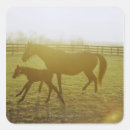 Recherche de amants de cheval autocollants Cowboy
