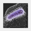 Suche nach bakterien magnete Farbe