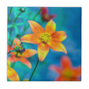 Recherche de flou carreaux Fleurs