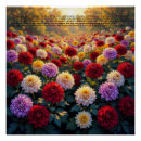 Recherche de chrysanthème art Plantes