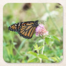 Suche nach monarchfalter untersetzer Blume
