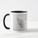 Recherche de félins tasses Amoureux de les chats