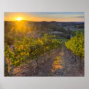 Suche nach adelaide poster Weinbau