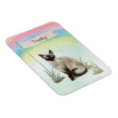 Recherche de siamois magnets Animal de compagnie