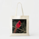 Recherche de cardinal du nord accessoires Oiseau