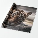 Suche nach wilder tiger geschenkpapier Schwarz