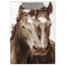 Recherche de cheval occidental photographie Animaux