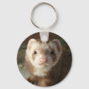 Recherche de ferret porteclés Furet