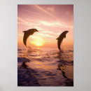 Recherche de bottlenose Goulot