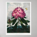 Suche nach flowers poster Illustration