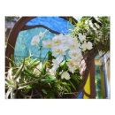 Suche nach orchideen dekoration poster Sommer