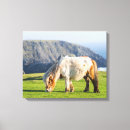 Recherche de poney impressions sur toile Ferme