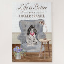 Recherche de cocker puzzles Canine