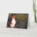 Suche nach die shetlandinseln schäferhund karten Miniaturcollie