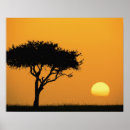 Suche nach baum silhouetten poster Single