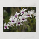 Recherche de sanskrit cartes postales Asie