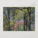 Recherche de orientales cartes postales Nature