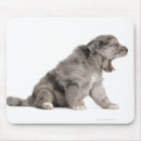 Suche nach seitenansicht mousepads Fotografie