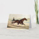 Recherche de tanneur cartes postales Cheval