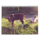 Suche nach kuh kalender Vieh