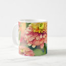 Recherche de zinnias tasses Motif