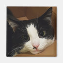 Suche nach katzengeschenke magnete Kitty