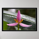 Recherche de banane art Floral