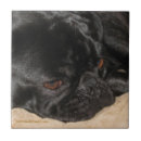 Suche nach traurige fliesen Hund