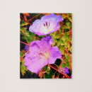 Suche nach violette blumen puzzle Fotografie