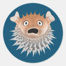 Recherche de choque autocollants Drôle