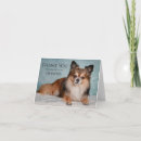 Recherche de hamsters vœux cartes Pour tous