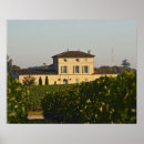 Suche nach weinkellerei poster Landschaft