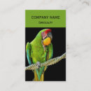 Recherche de ara perroquet cartes visite Animal