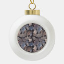Suche nach ginkgo ornamente Natur