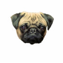 Recherche de humour drôle photo sculptures Animal