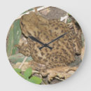 Recherche de crapaud horloges Faune