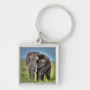 Suche nach tierphotographie Tierliebhaber