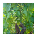 Suche nach outdoor fliesen None