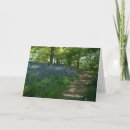 Recherche de thinking of you vœux cartes Sympathy