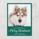 Recherche de compagnie cartes postales Animal de compagnie