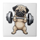 Suche nach fitness fliesen Lustig