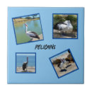 Suche nach pelikan fliesen Vogelvogel